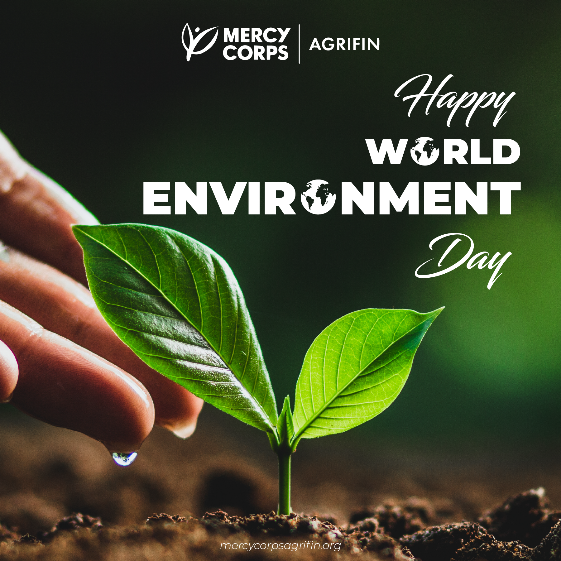 World Environment Day-08